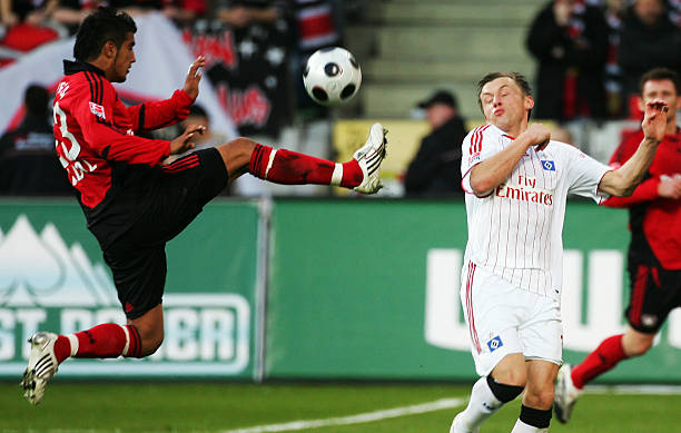 世家成长带 世家成长带